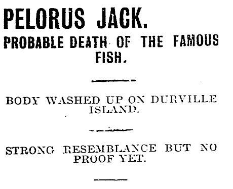 Nelson Evening Mail, Volume XLVI, 21 March 1911, Page 6